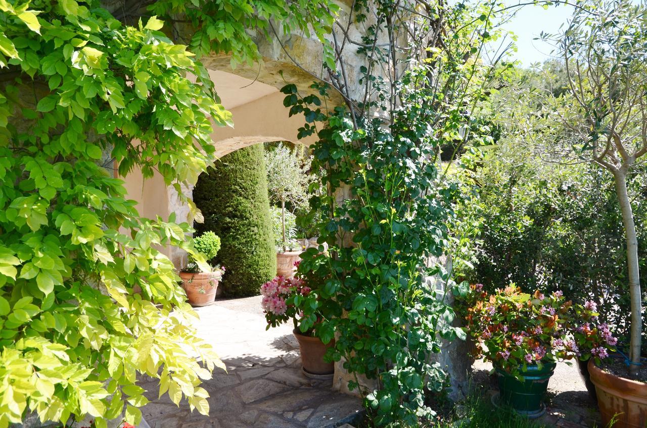 Gite Les Citronniers ว็องส์ ภายนอก รูปภาพ
